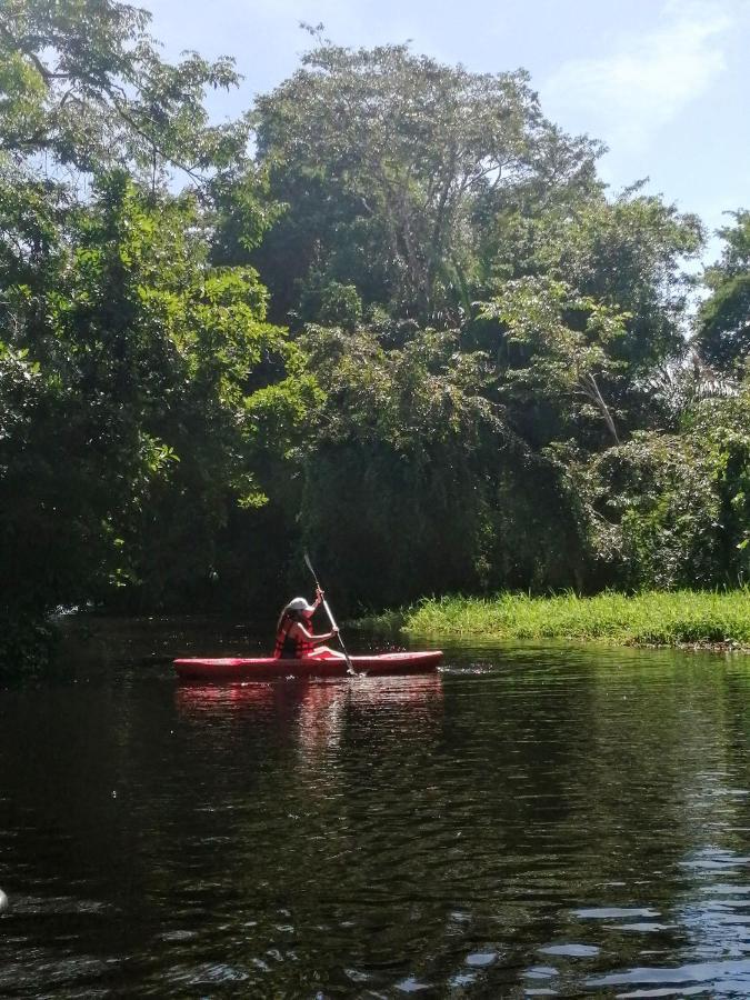 Hospedaje Meryscar Tortuguero Exterior photo